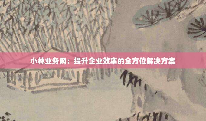 小林业务网:提升企业效率的全方位解决方案