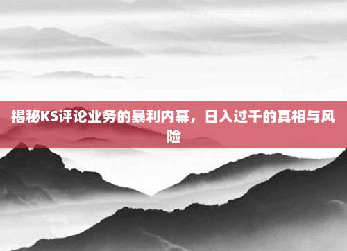 揭秘KS评论业务的暴利内幕,日入过千的真相与风险