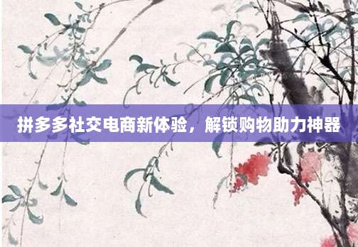 拼多多社交电商新体验,解锁购物助力神器