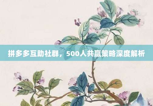 拼多多互助社群,500人共赢策略深度解析