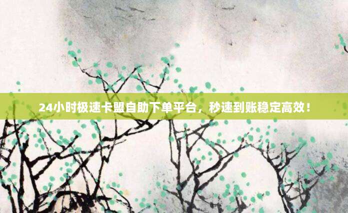 24小时极速卡盟自助下单平台,秒速到账稳定高效!