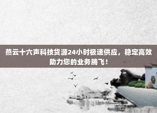 燕云十六声科技货源24小时极速供应,稳定高效助力您的业务腾飞!