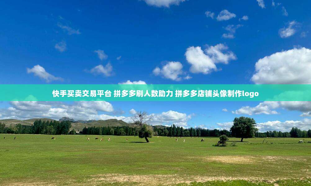 快手买卖交易平台 拼多多刷人数助力 拼多多店铺头像制作logo