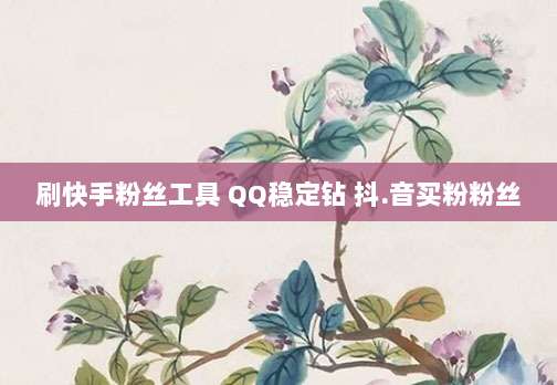 刷快手粉丝工具 QQ稳定钻 抖.音买粉粉丝