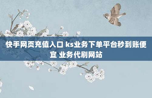 快手网页充值入口 ks业务下单平台秒到账便宜 业务代刷网站